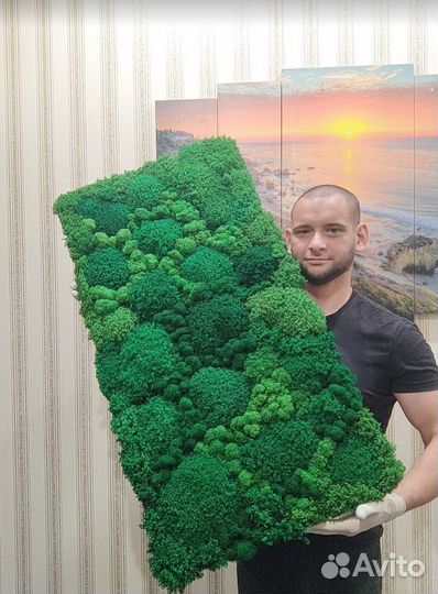 Яркие натуральные эко панели 50х100см из мха