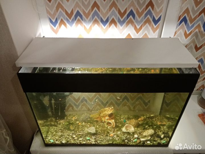 Аквариум 50 л с рыбками и принадлежностями