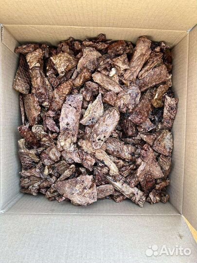 Корм для собак