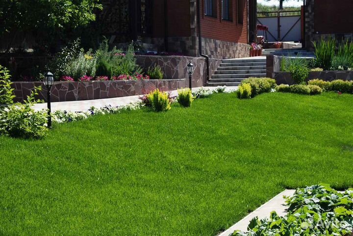 Рулонный газон, укладка, продажа