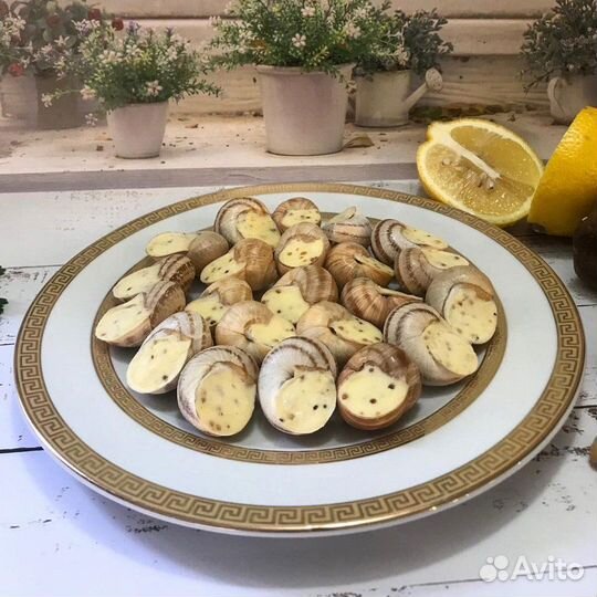 Улитки в ассортименте