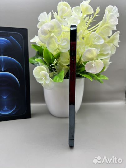 iPhone 12 Pro Max, 256 ГБ