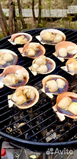 Шашлычник мангальщик Приготовление шашлыка
