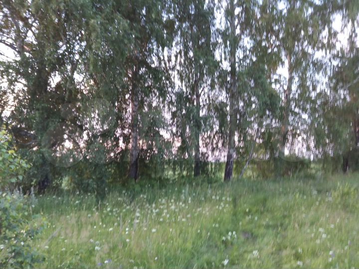 Участок 50 сот. (ИЖС)