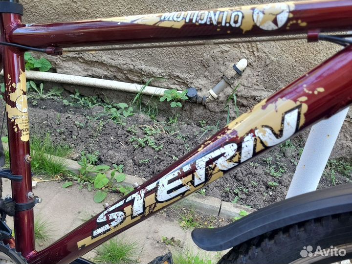 Stern Motion 1.0 Горный Взрослый