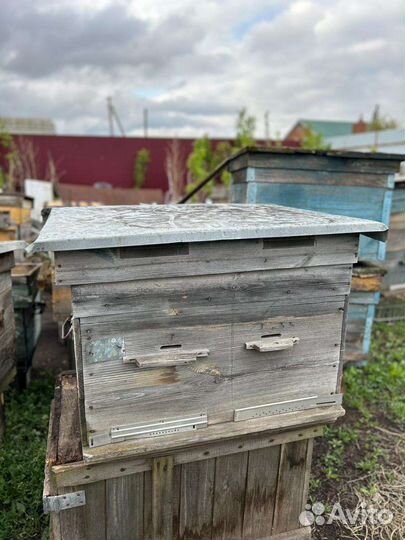 Улей для пчел