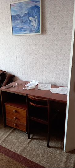 1-к. квартира, 30 м², 7/9 эт.