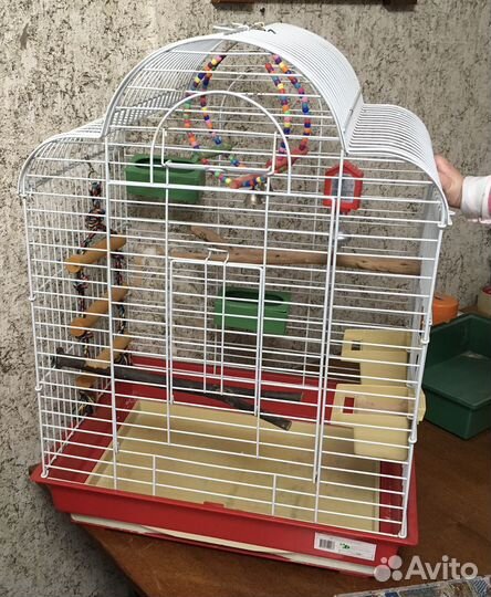 Клетка для попугая