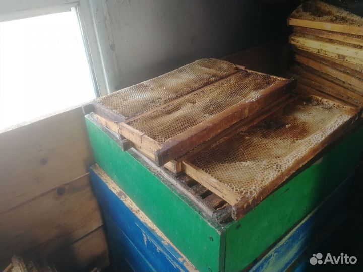 Сушь рамки для пчёл