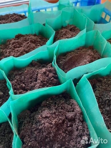 Пакеты для рассады 0,8 литра