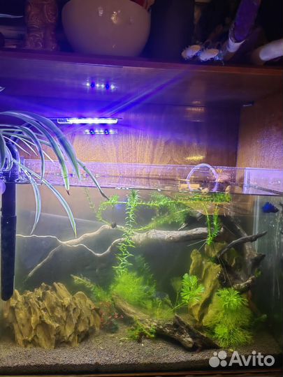 Украшение для аквариума