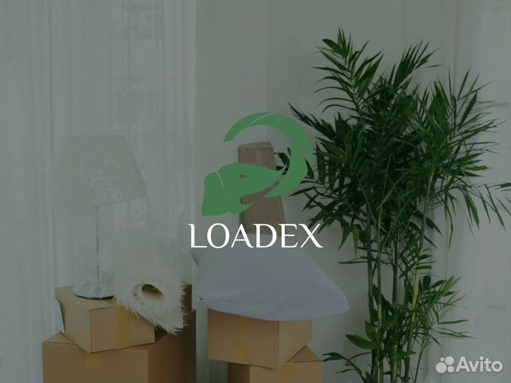 Графический дизайнер / Разработка логотипа