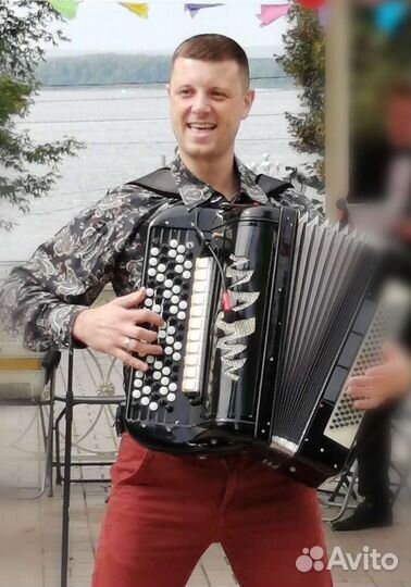 Баянист на праздник