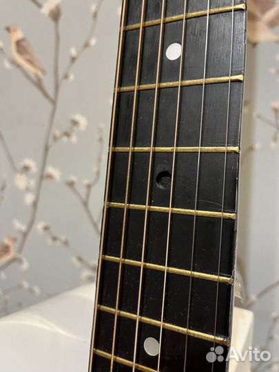 Акустическая гитара для подросков Belucci BC3810