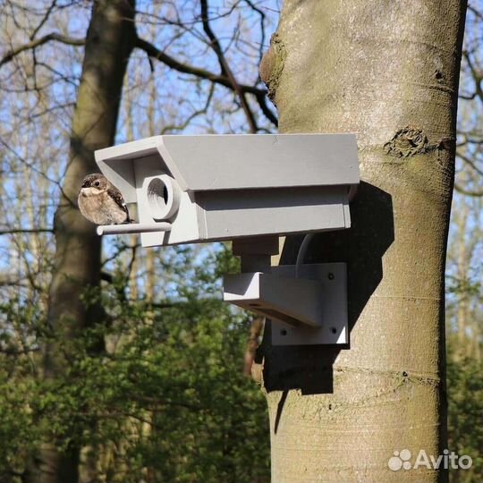 Скворечники для птиц