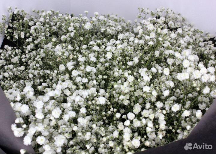 Гипсофила. Букет цветов