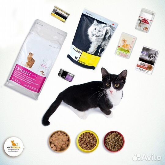 Оператор линии(корма для животных) /вахта