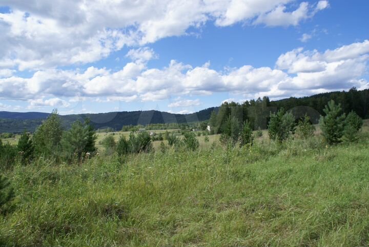 Участок 12 сот. (СНТ, ДНП)