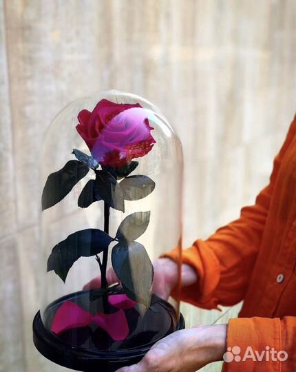 Роза в колбе