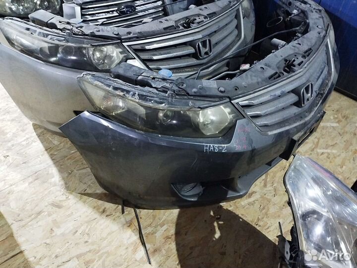 Ноускат honda accord 8