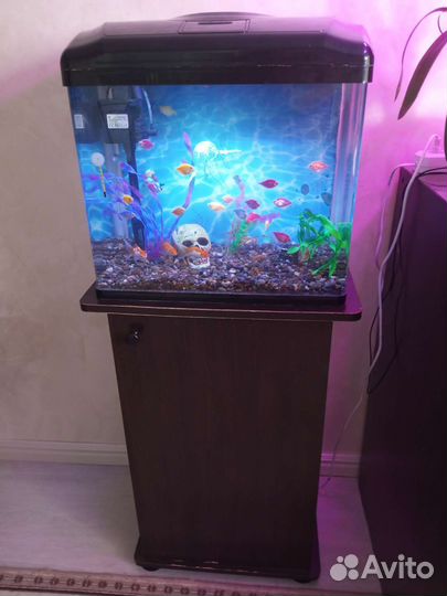 Аквариум