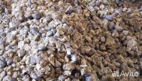 Конский навоз в мешках