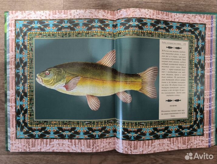 Подарочная книга 