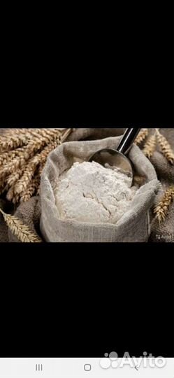 Мука оптом, переработка