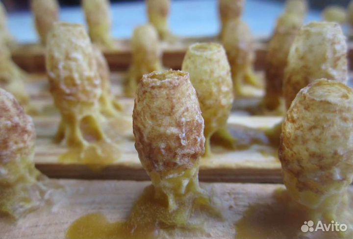 Маточное молочко (омоложение клеток) в Тюмени