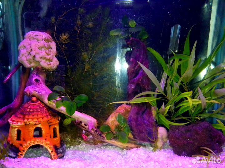 Продам полностью готовый аквариум