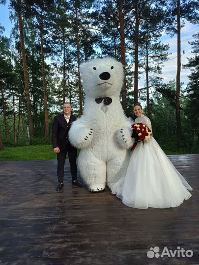 Белый мишка поздравление на ура