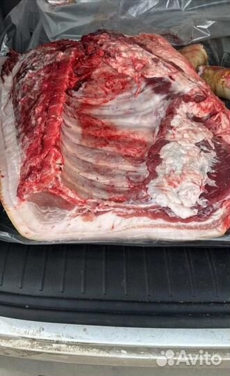 Мясо свинина в полутушах