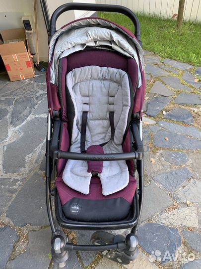 Коляска 2 в 1 babydesigh husky