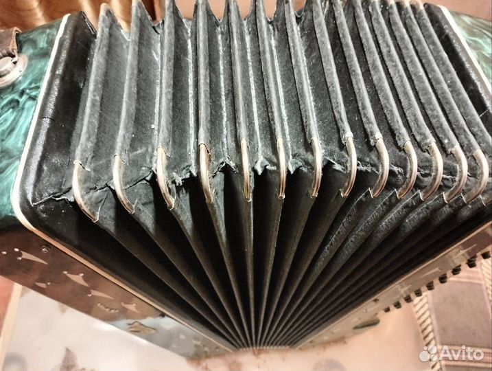 Гармонь весна