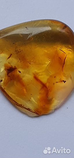 Янтарь с инклюзами 5 шт