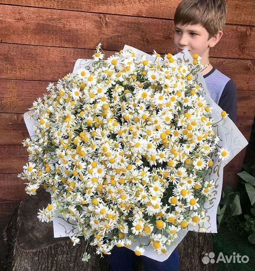 Ромашки букет