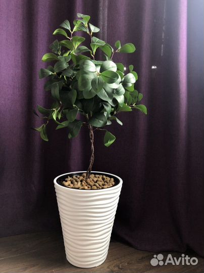 Фикус мокламе искусственный