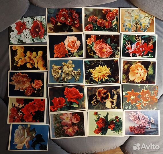 Открытки Цветы 1960-1970гг Винтаж СССР