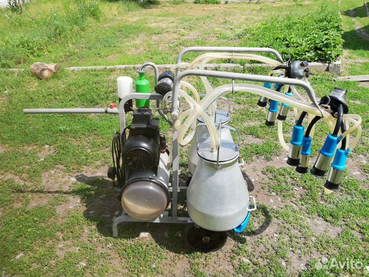 Доильный аппарат