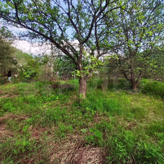 Участок 5,4 сот. (СНТ, ДНП)