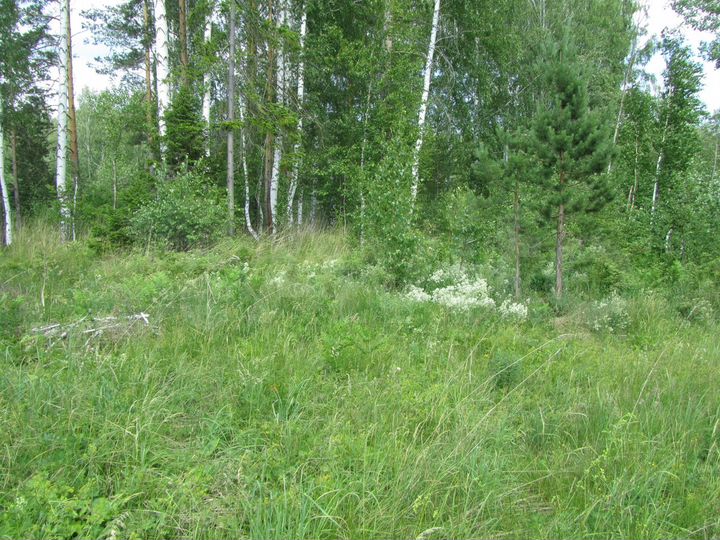 Участок 11 сот. (ИЖС)