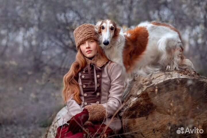 2 русские борзые для видео и фотосессий