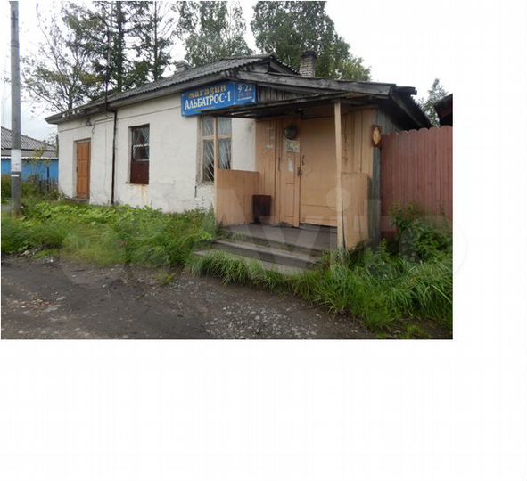 Торговая площадь 55,3 м²