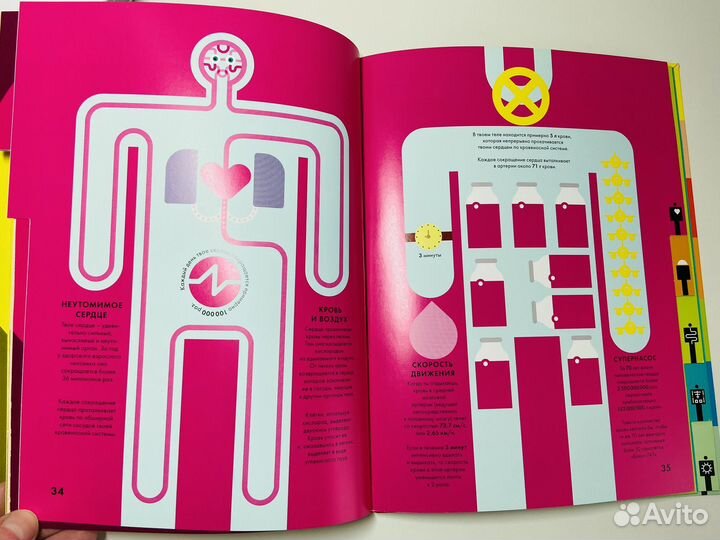 Инфографика 