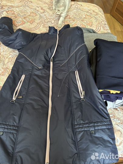 Отдам хорошие вещи пакетом 50-52 размер