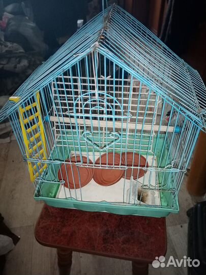 Клетка для попугая бу