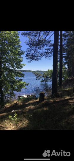 Рыбалка с гидом и обучение ловли на спиннинг