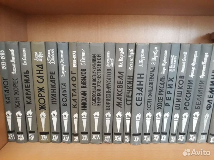 Серия книг из жизни замечательных людей