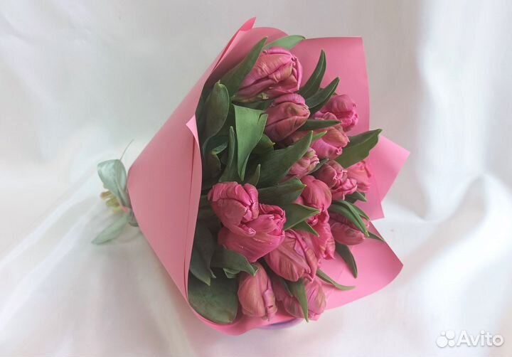 Тюльпаны пудровые