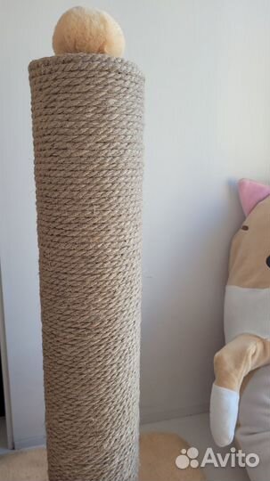 Когтеточка